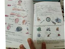 English