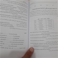 دستورزبان