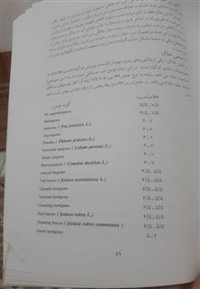 مدیریت