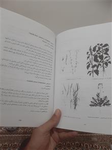 مدیریت