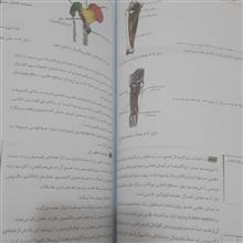 آناتومی