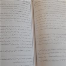 قارچ
