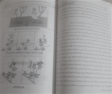 شناسایی،کاشت