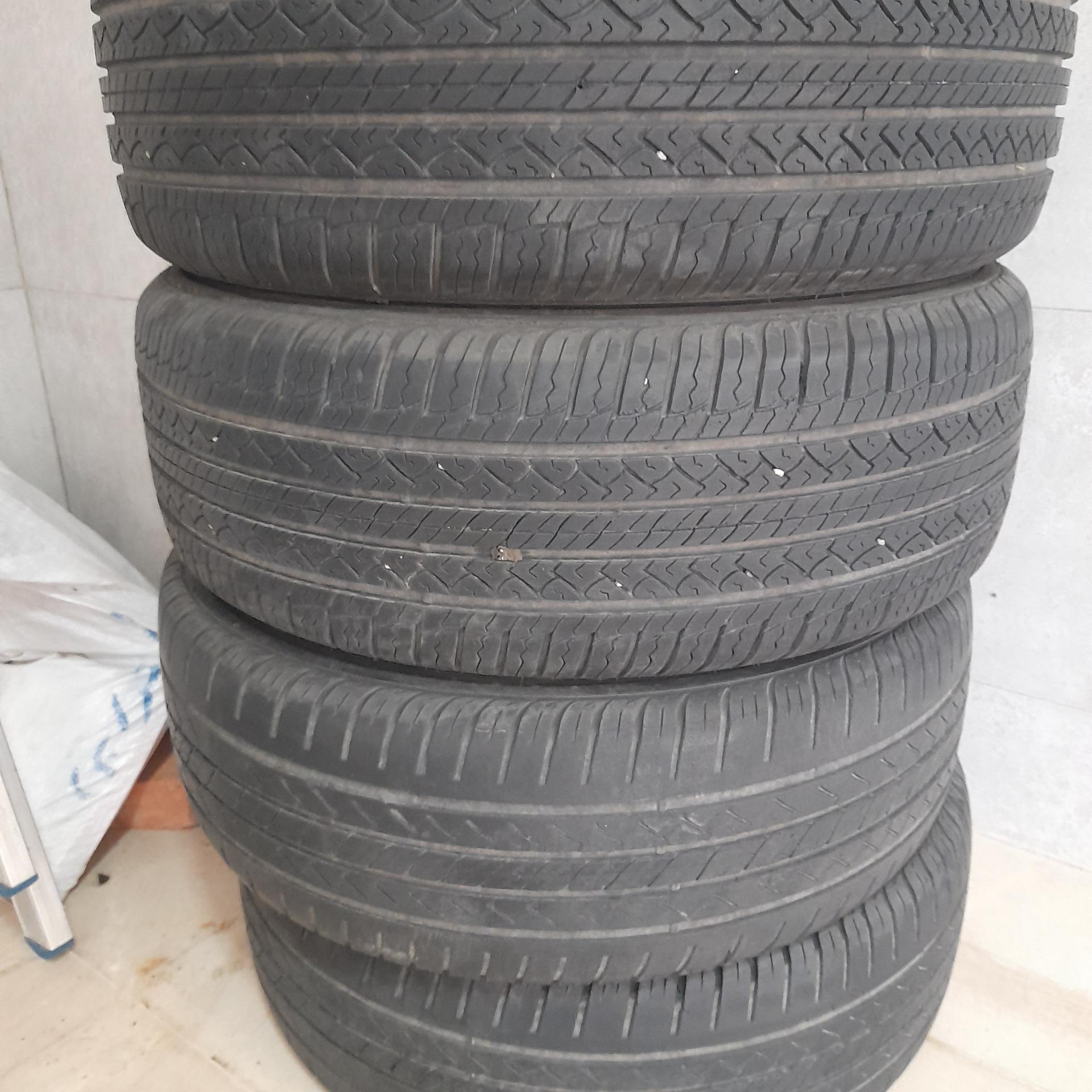 لاستیک دیگنیتی 325