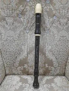فلوت