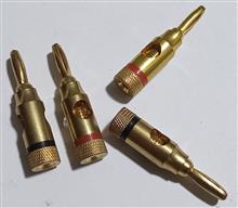 فیش