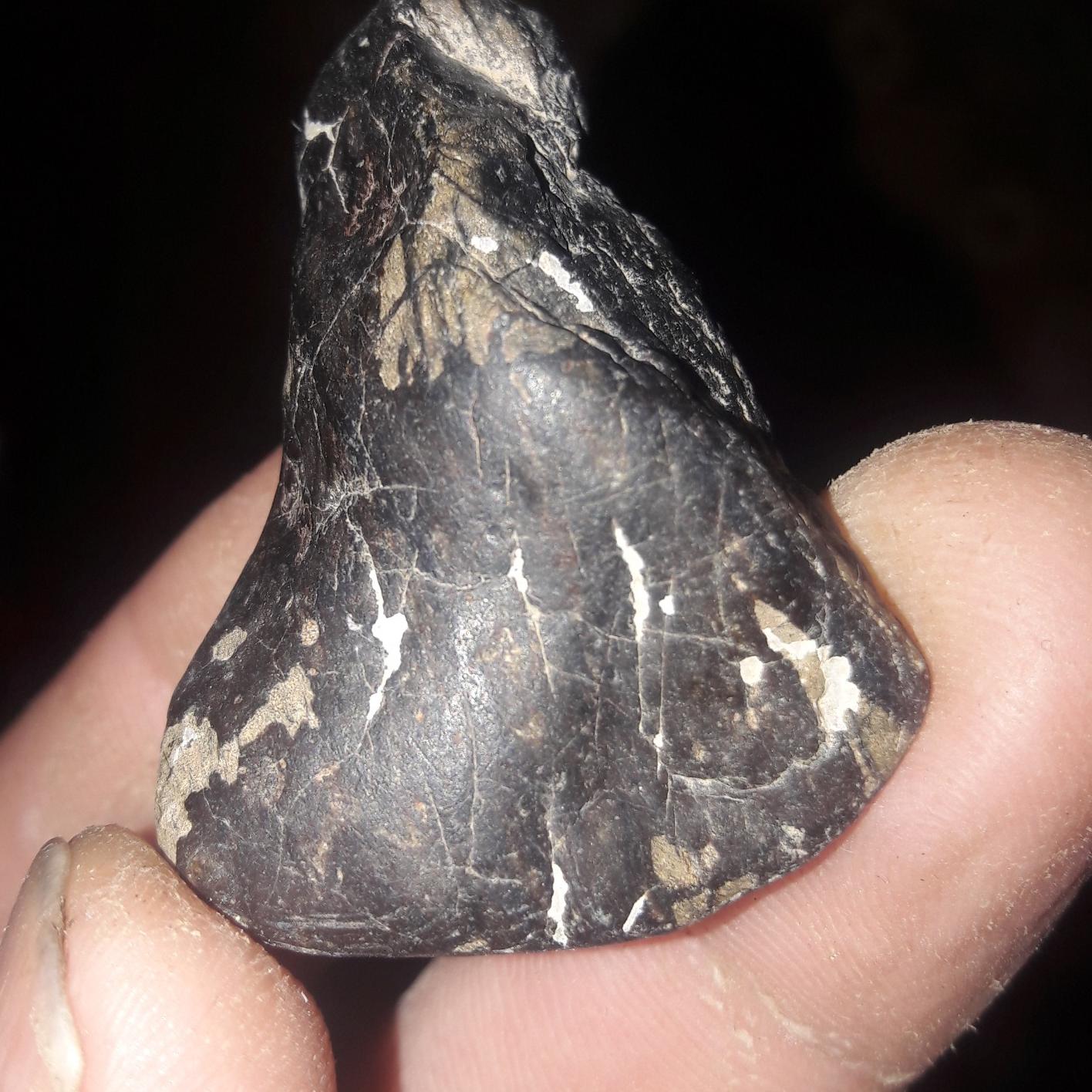 شهاب سنگ با پوسته سوخته