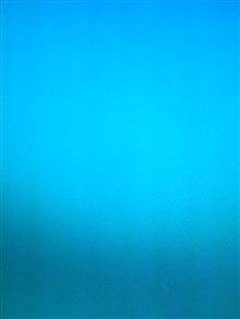مانیتور