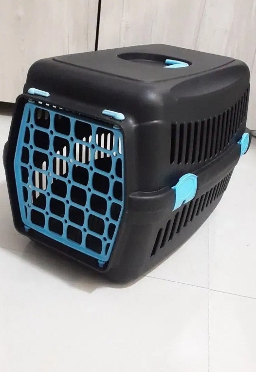 جای سگ و گربه و پت