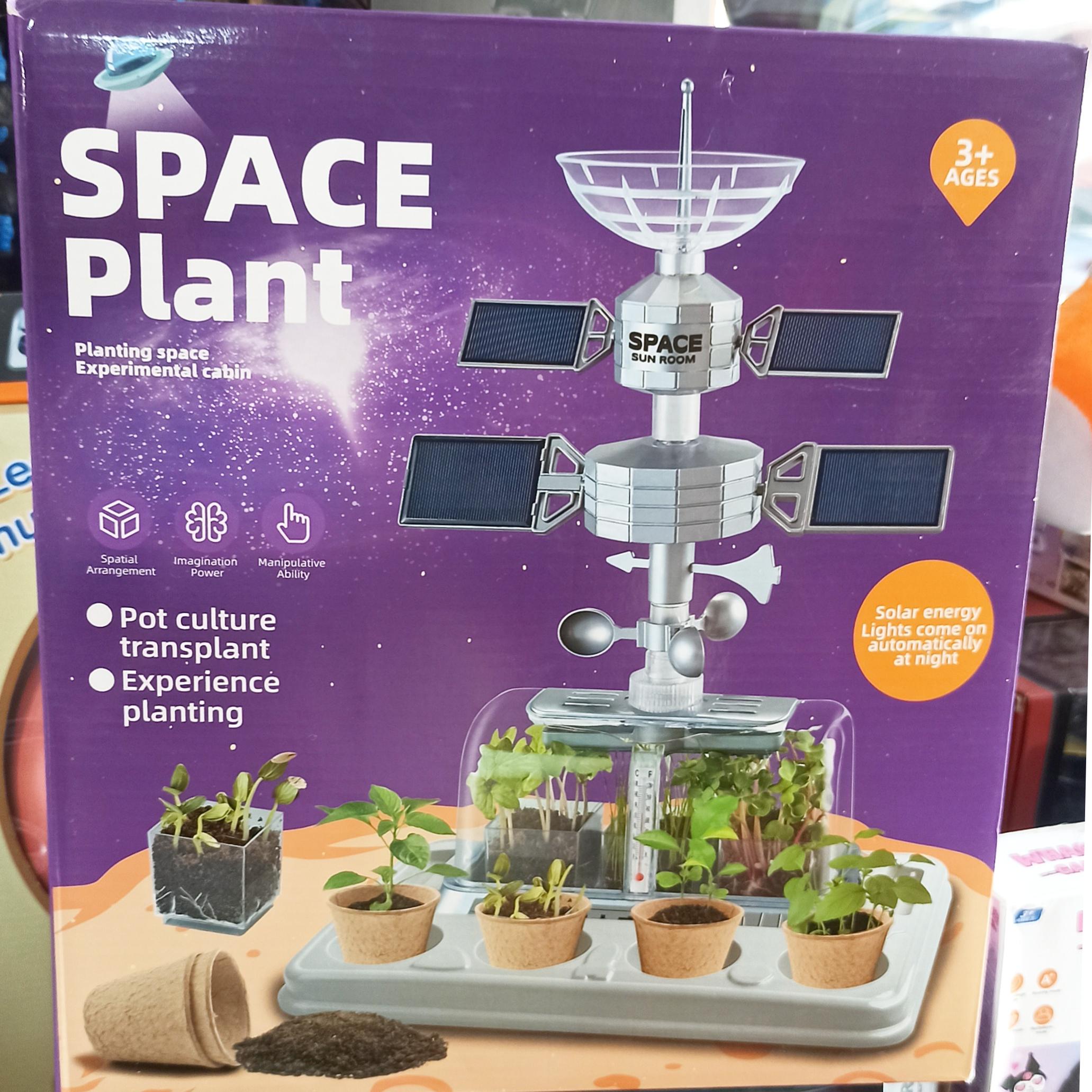 اسباب بازی گل خانه خورشیدی