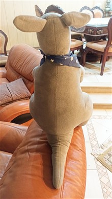 عروسک