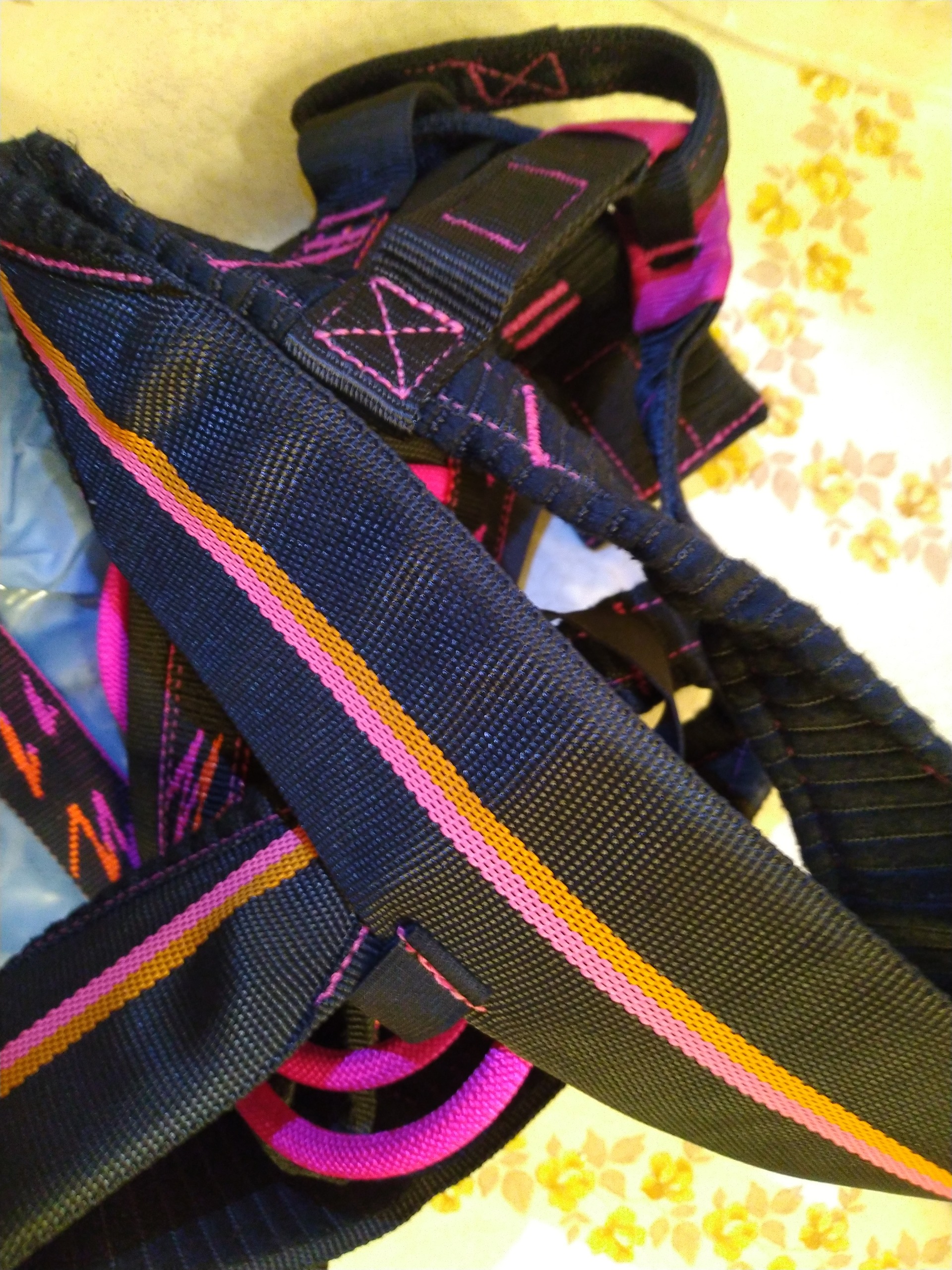 هارنس سنگنوردی Edelweiss