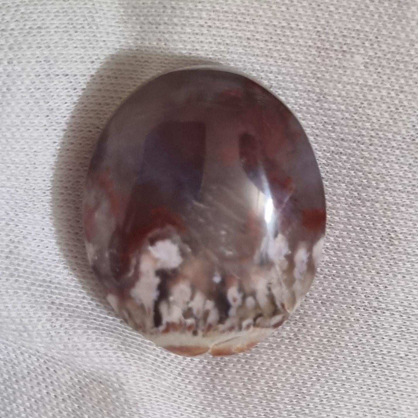 مدالی شجر پولیش اینه ای 98ت