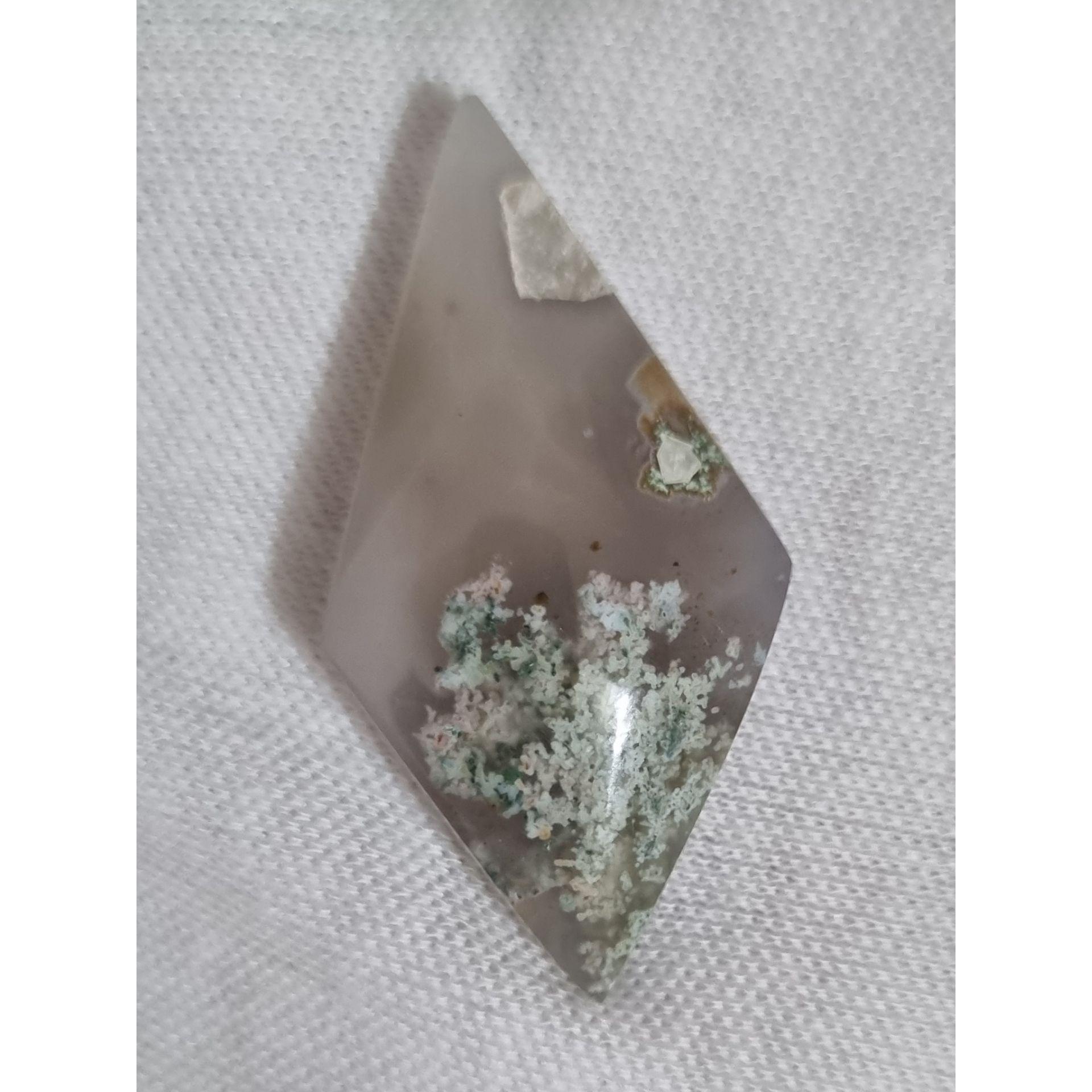 مدالی شجر ناب 320