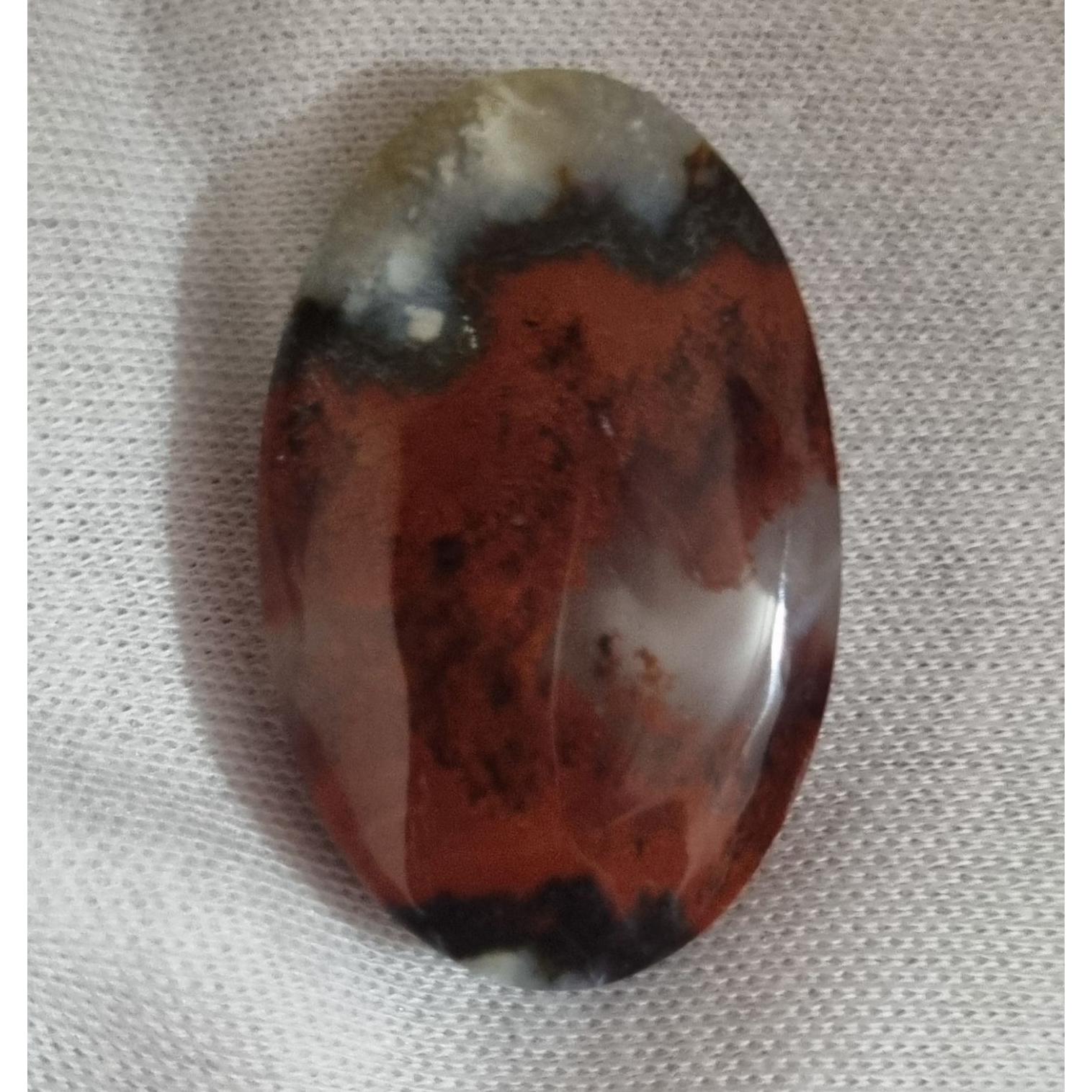 مدالی شجر قیمت91