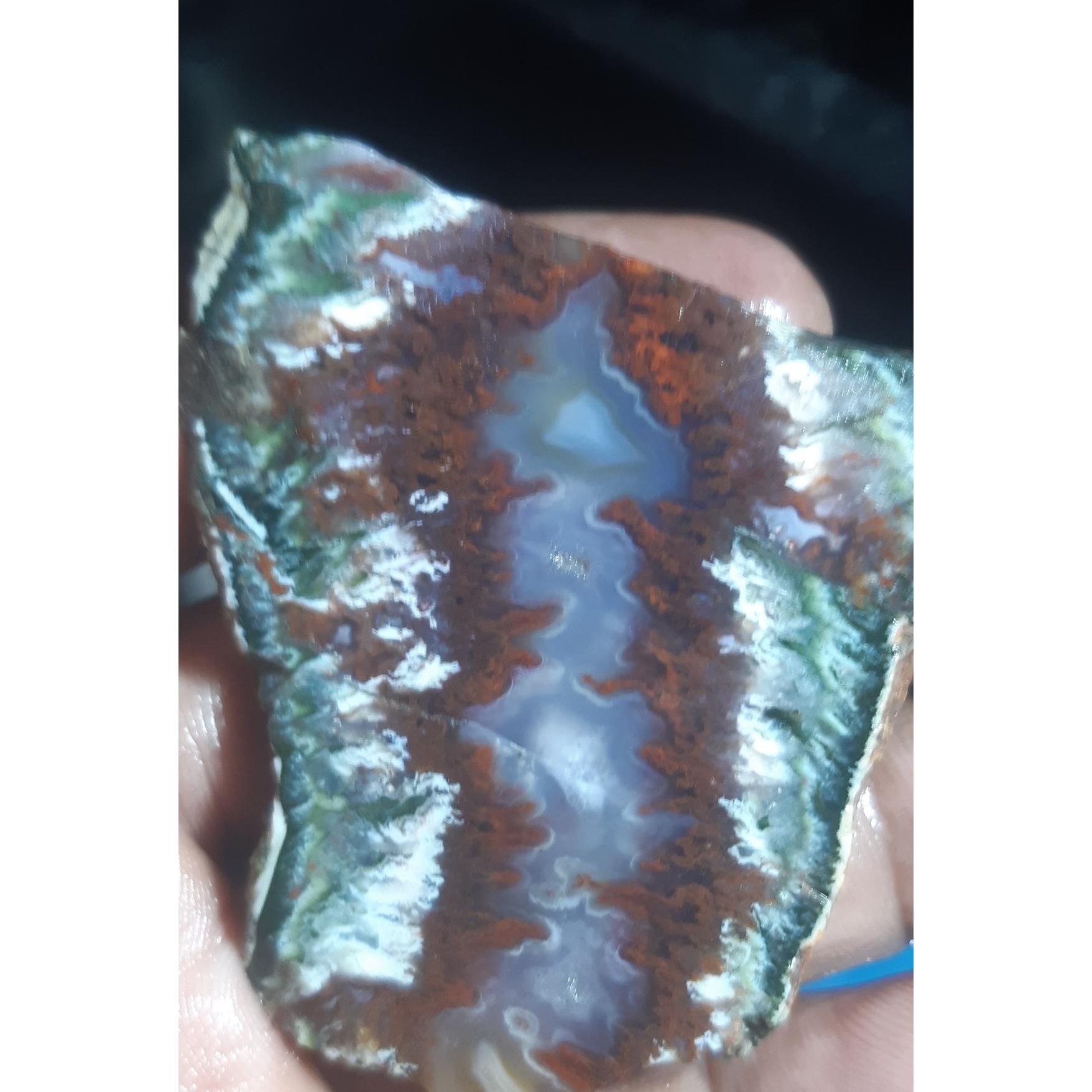 اسلایس شجر ناب