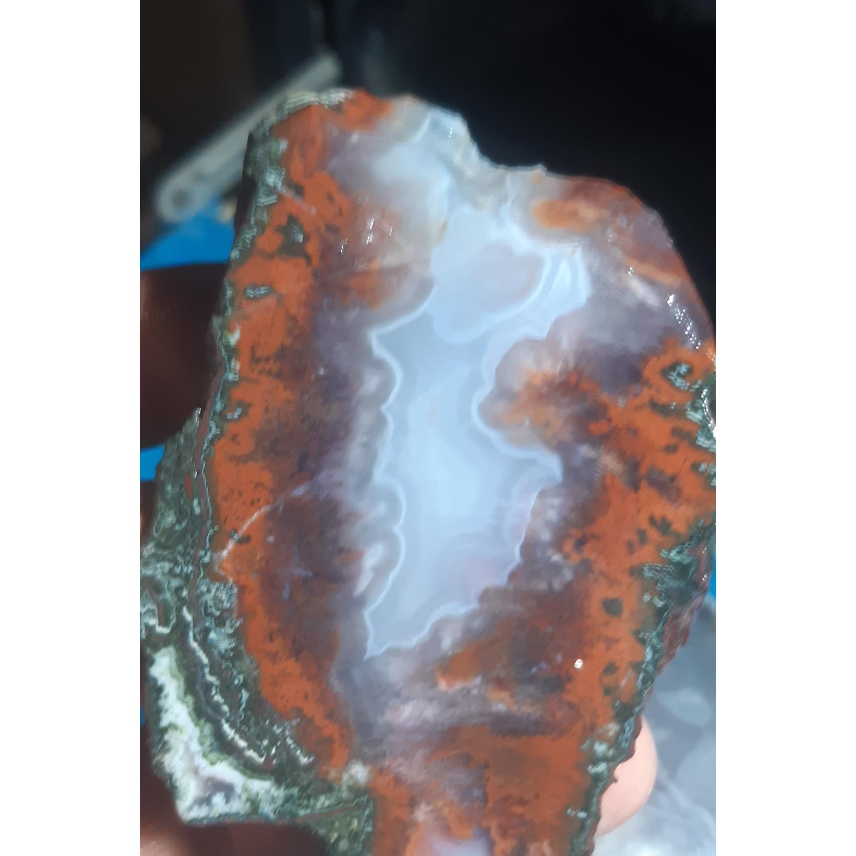 اسلایس شجر ناب