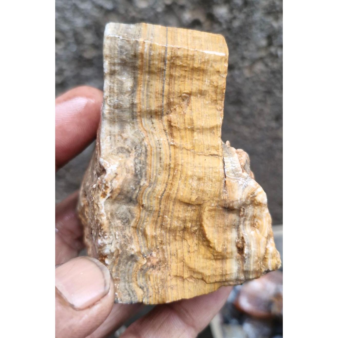 سنگ راف اراگونیت