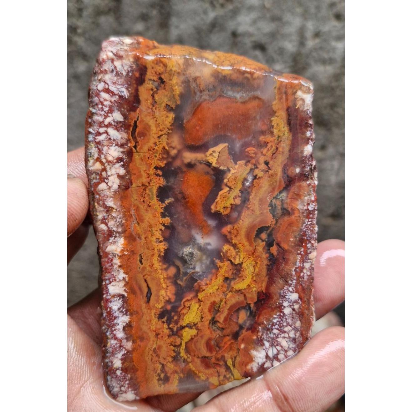 اسلایس شجر خاص