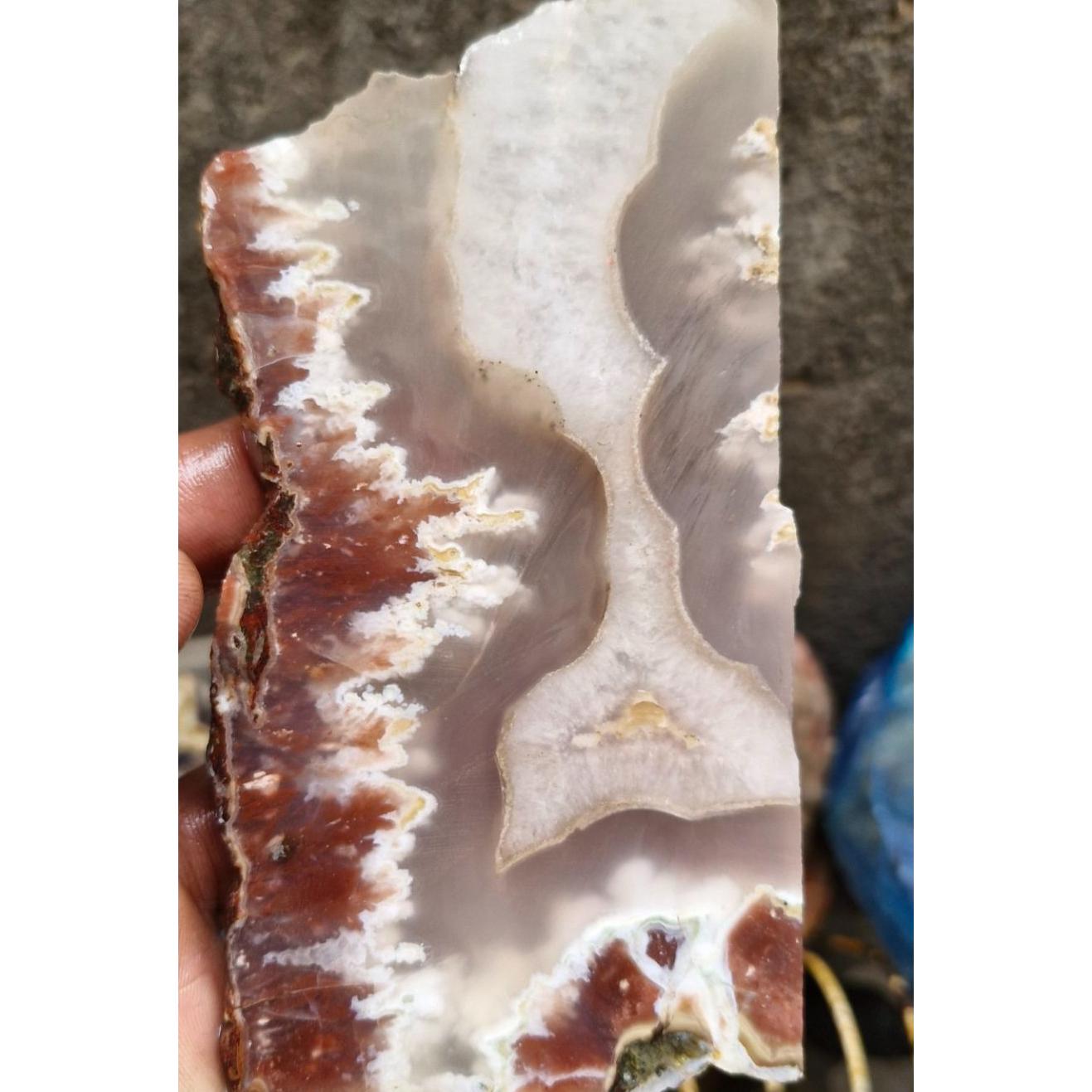 اسلایس شجر ناب