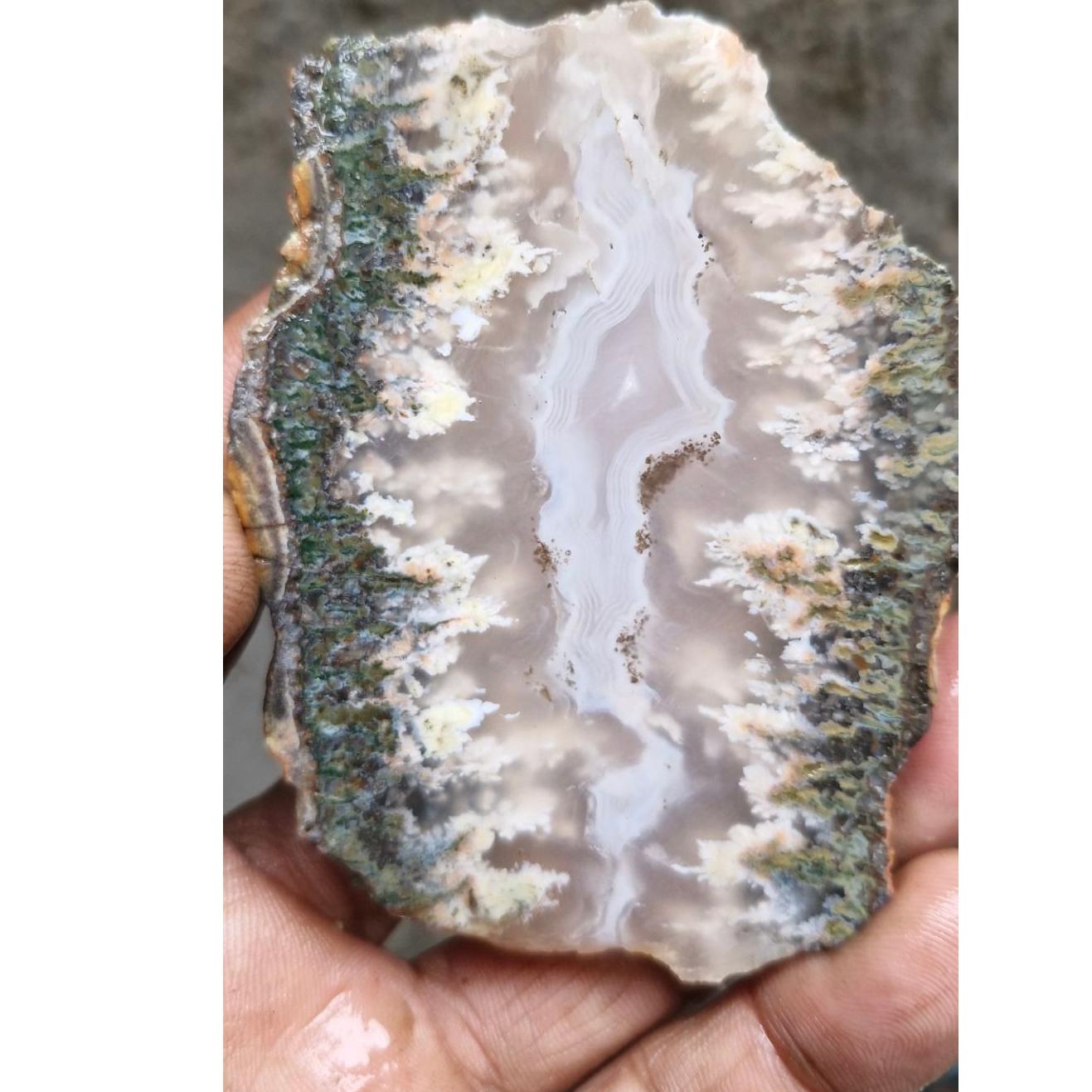 اسلایس شجر ناب