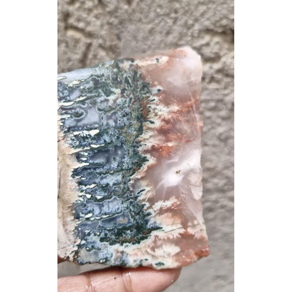 اسلایس شجر ناب