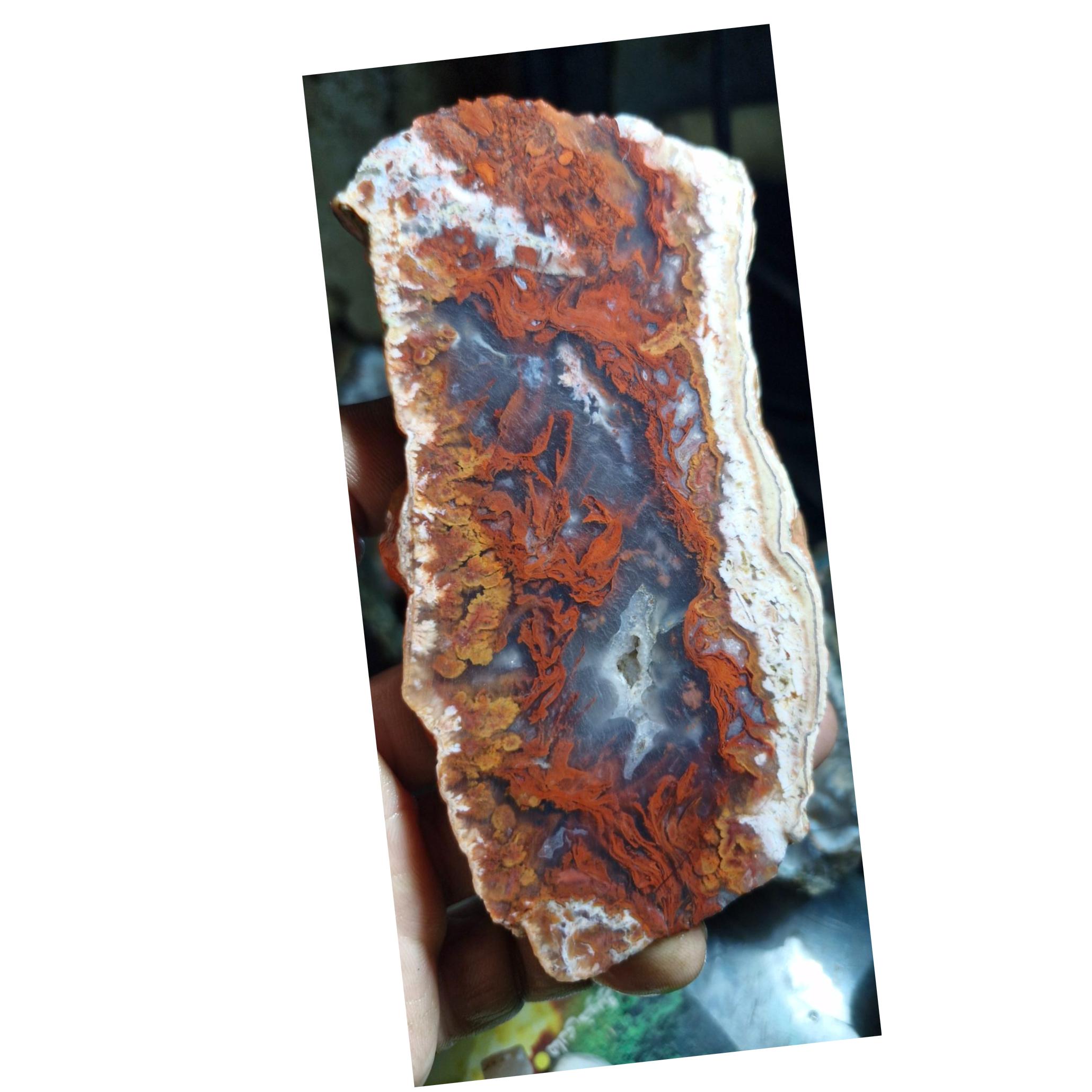 اسلایس شجر ناب