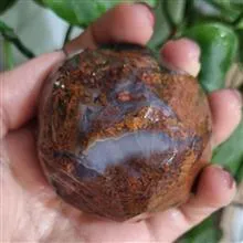 گوی