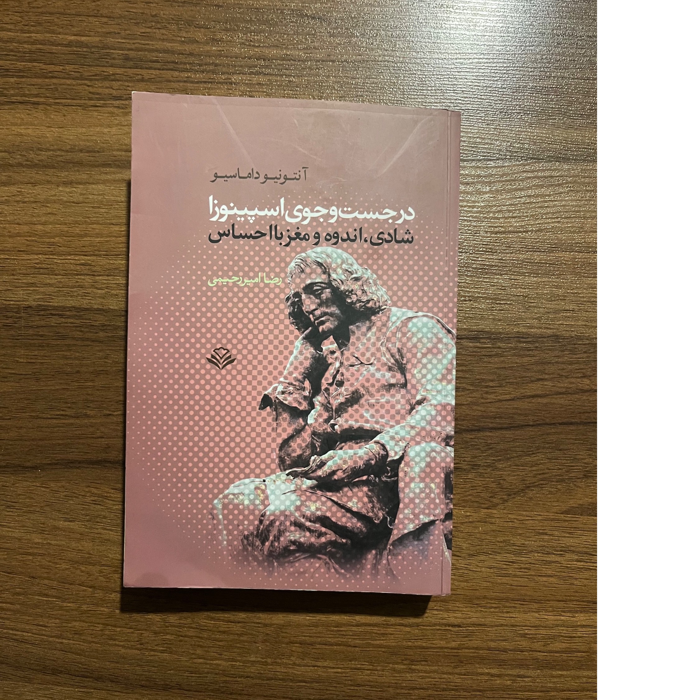 در جست و جوی اسپینوزا