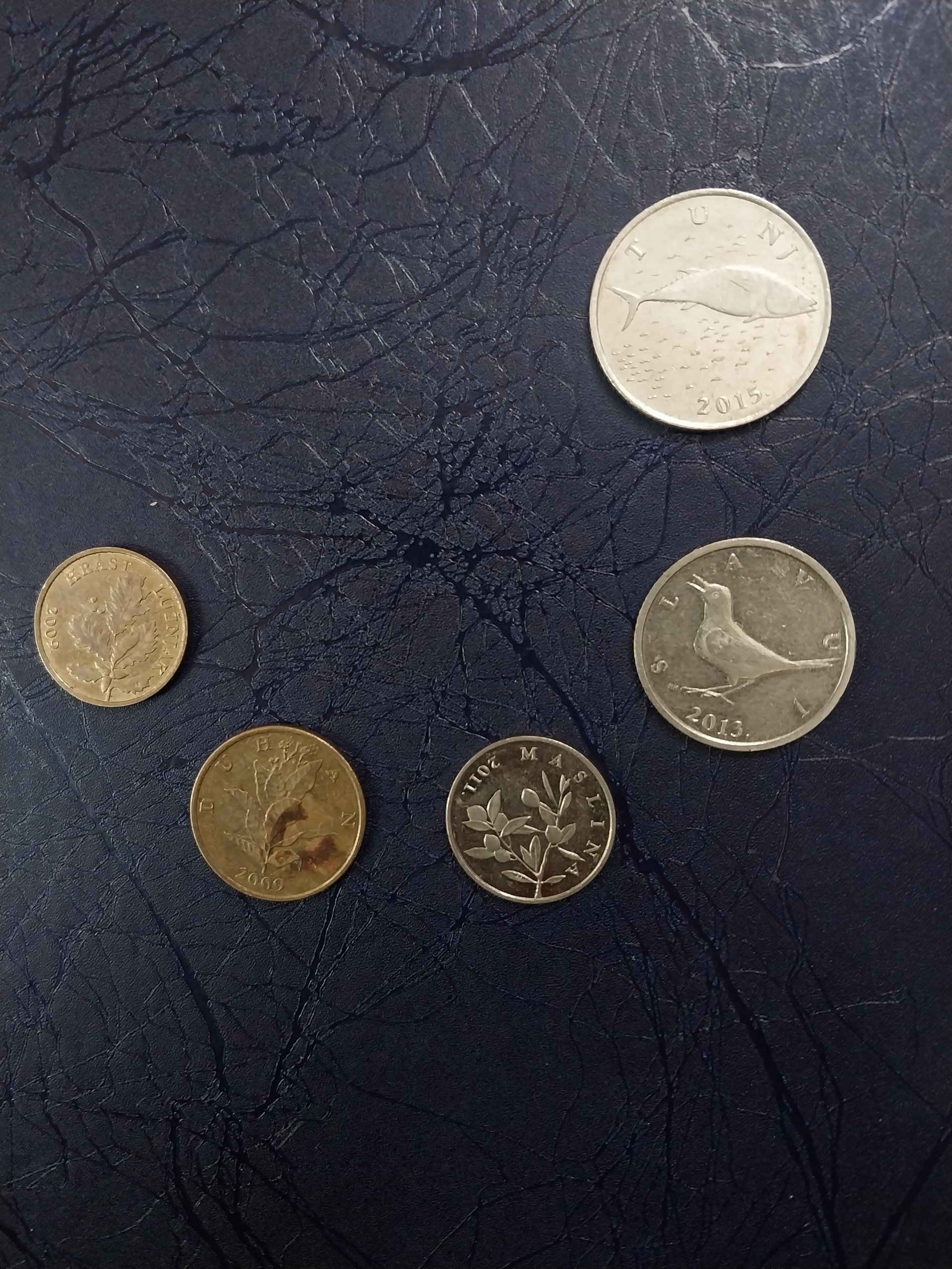 5 عدد سکه کرواسی