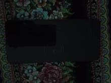 گوشی