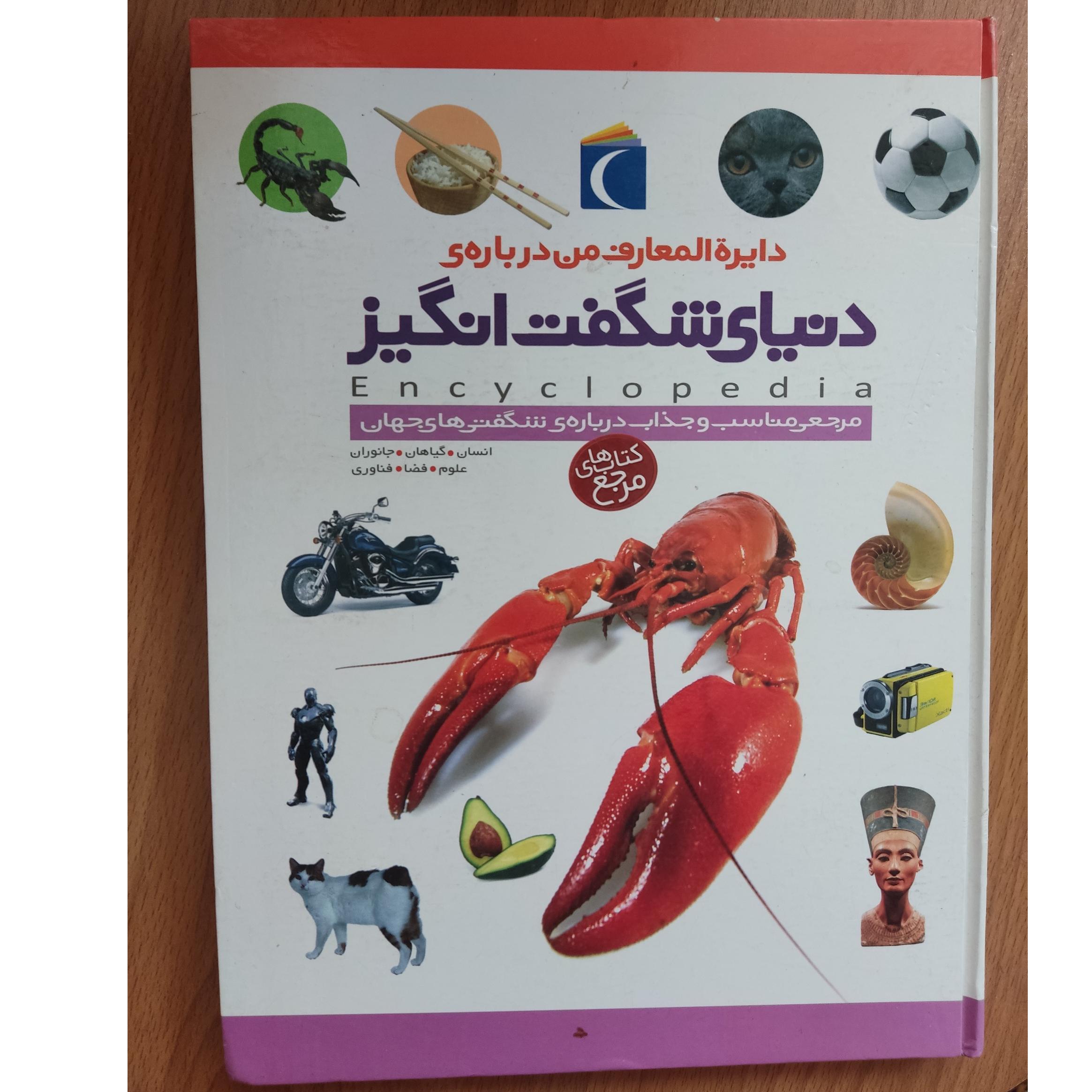 دنیای شگفت انگیز