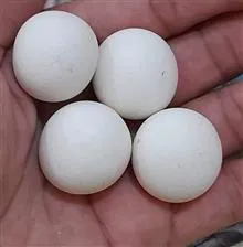 سنگ