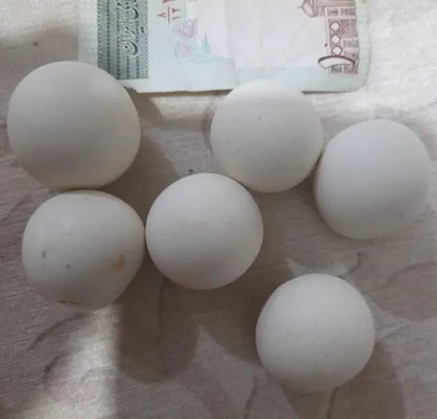 سنگ الماس آسیاب