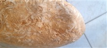 سنگ