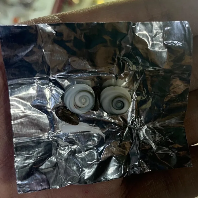 مهره مار شاه کبری اصلی