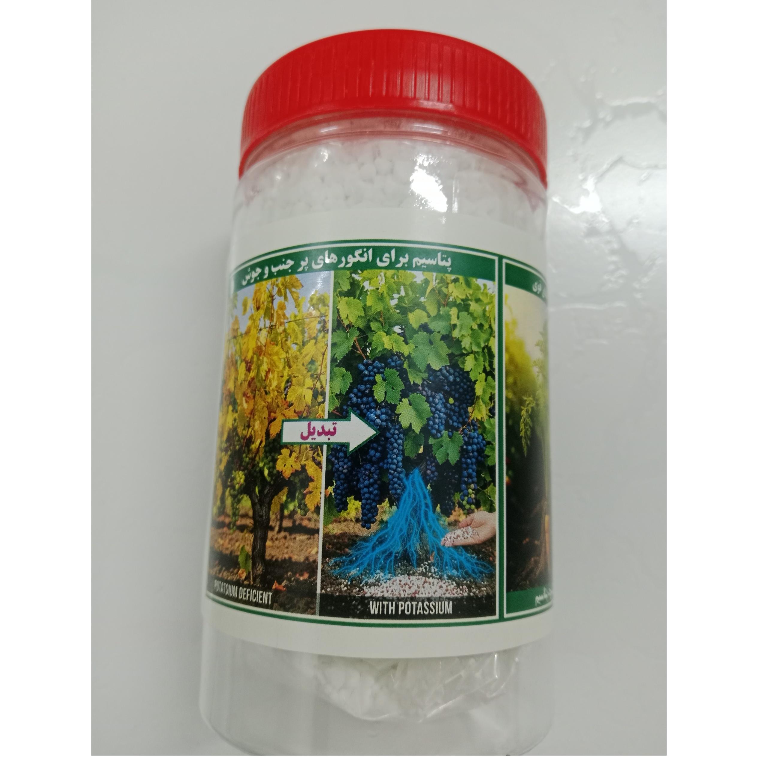 کود سولفات پتاسیم گرانول 600 گرمی (P21)