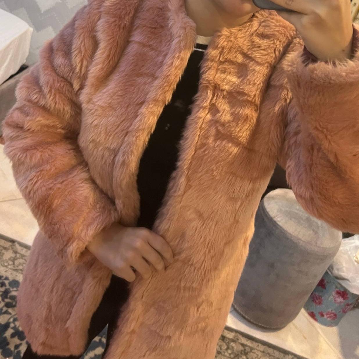 پالتو خر خارجی