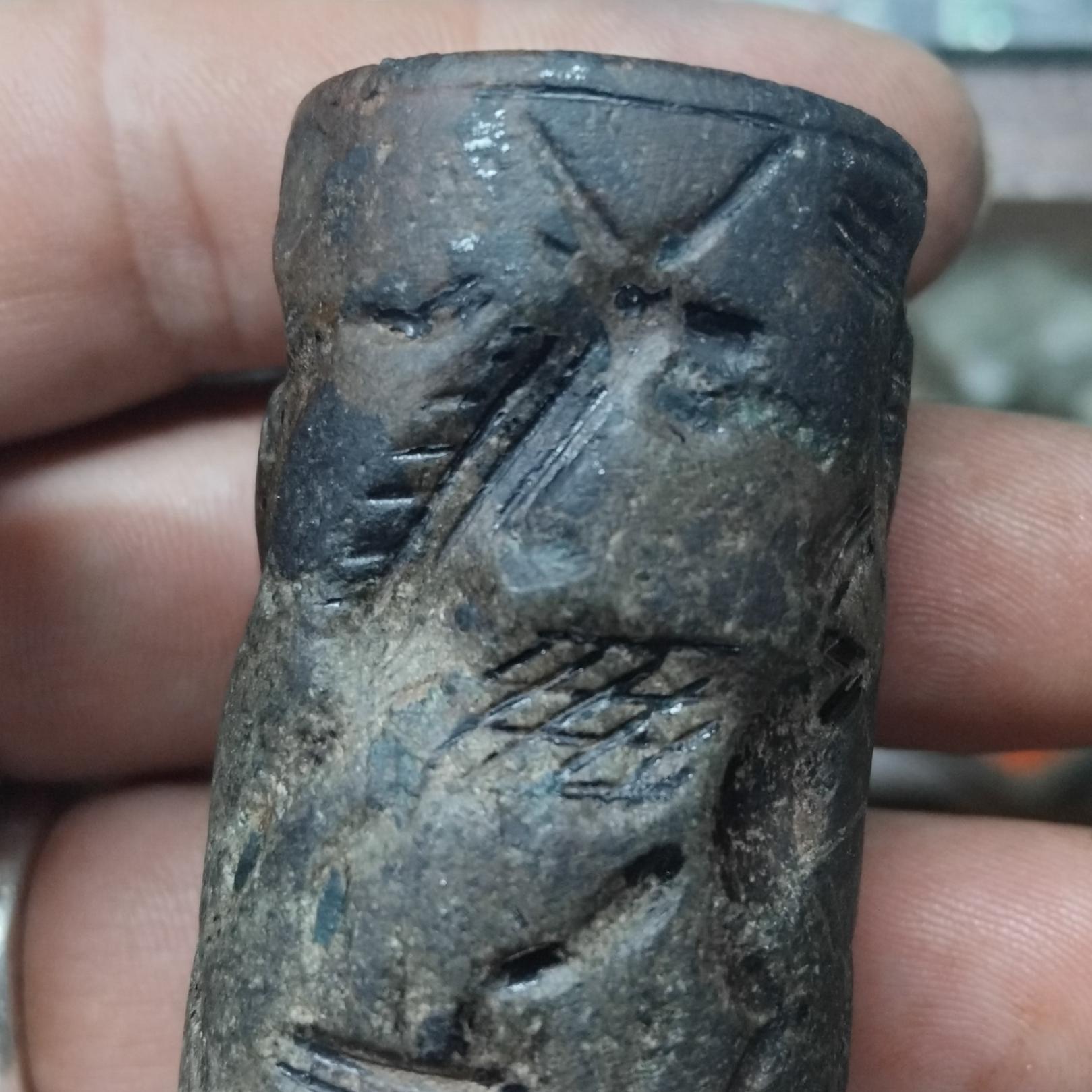 لول 5سانتی کاردار