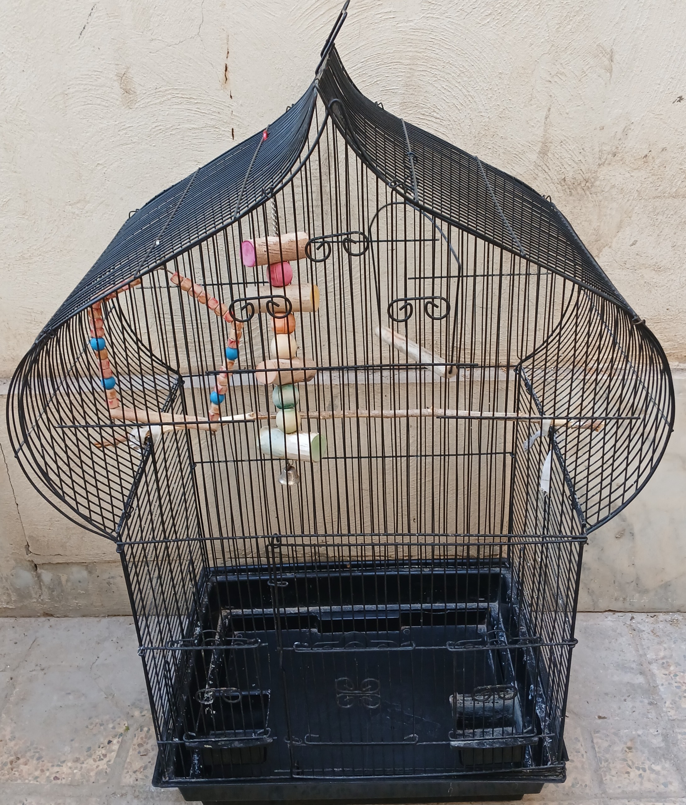 قفس عروس هلندی