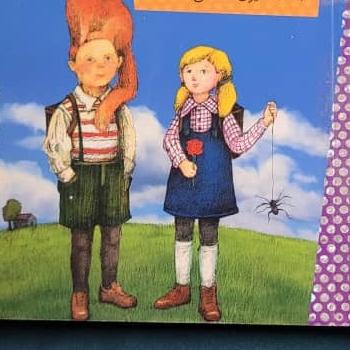 کتاب روزی که یاد گرفتم عنکبوت ها را اهلی کنم