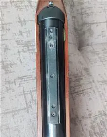 دیانا