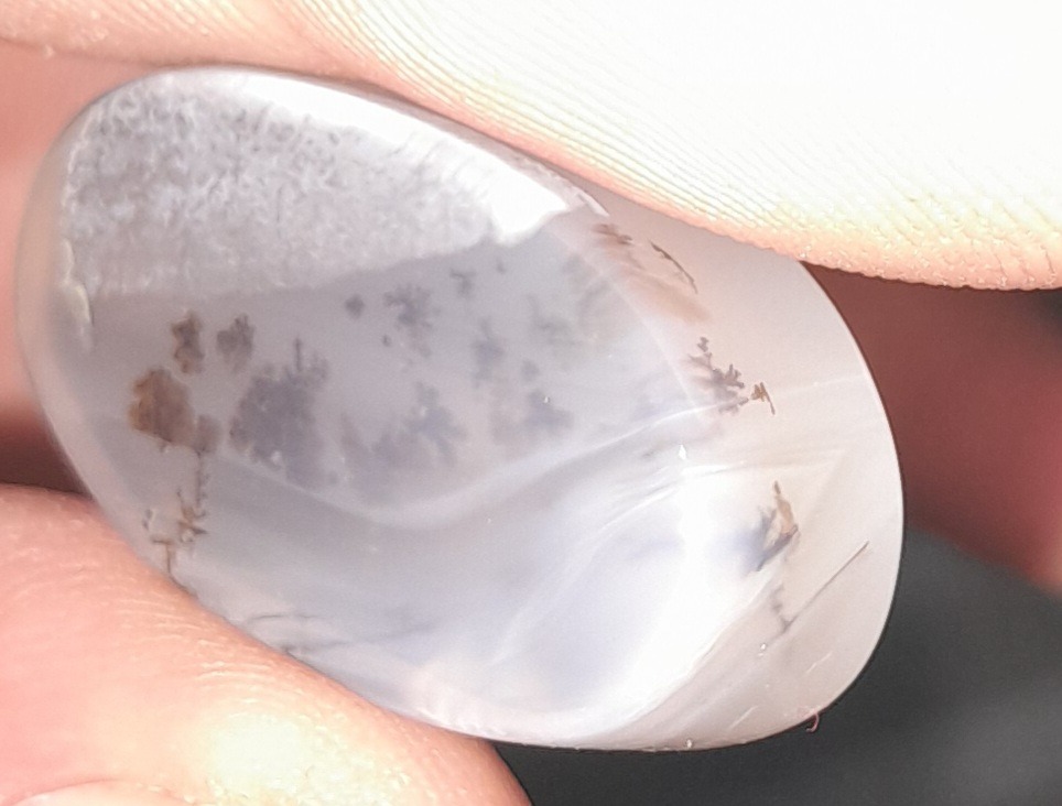 سنگ شجر طبیعی