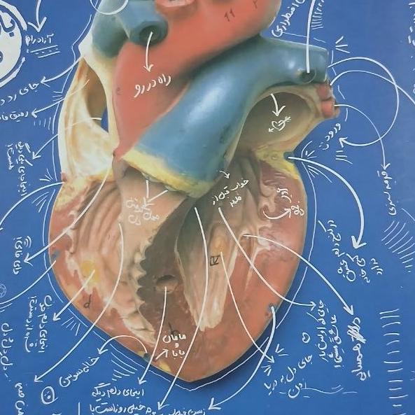 زیست دهم کنکور خیلی سبز