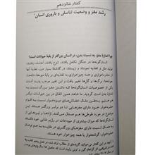زمین،