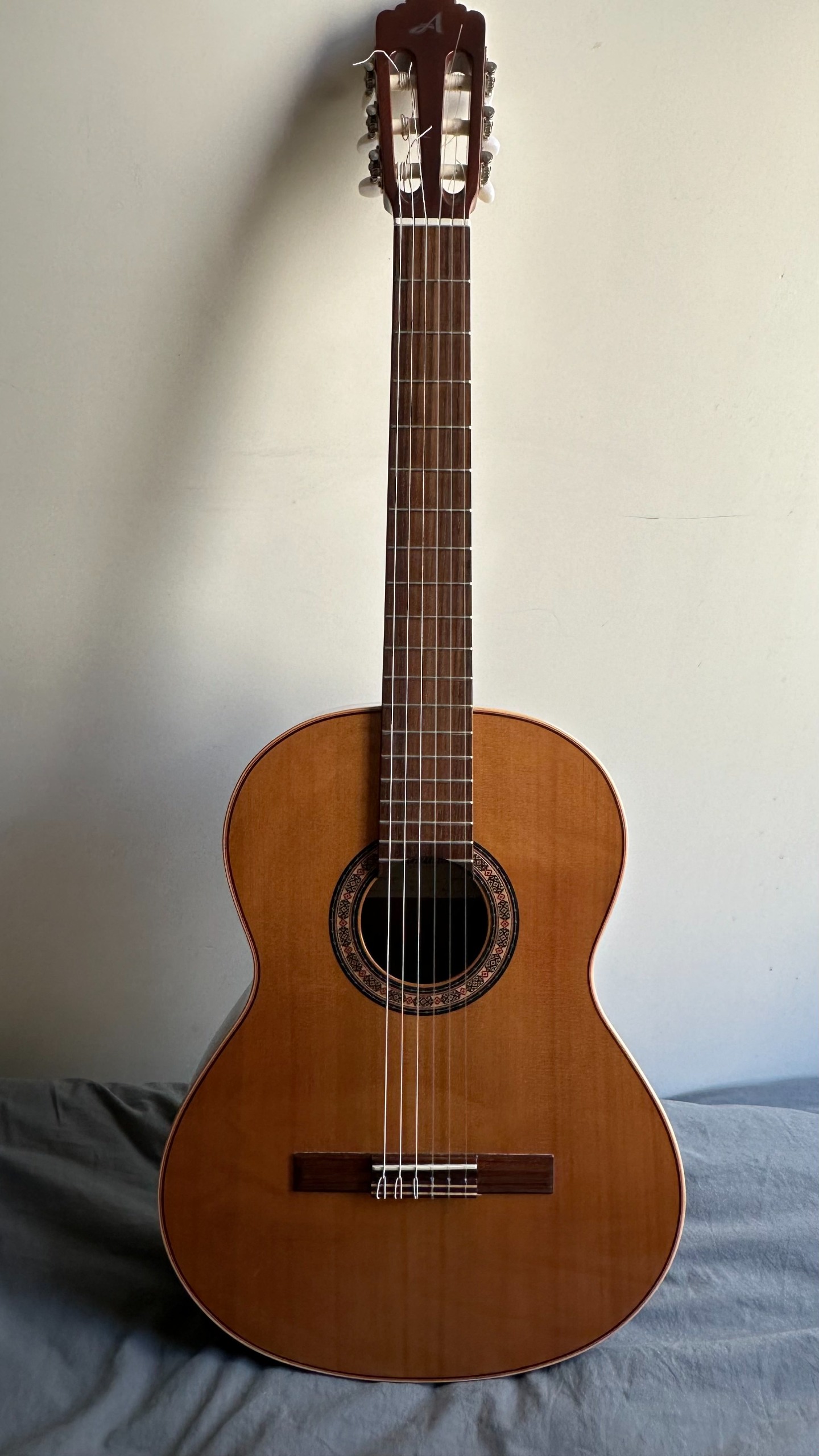 گیتار آلمانزا C401 - Cedro