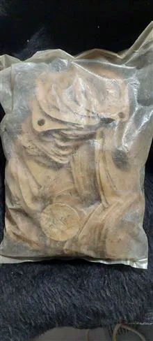 واشر