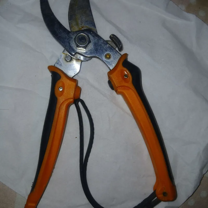 قیچی باغبانی شاخه چین