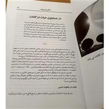 شگفتی