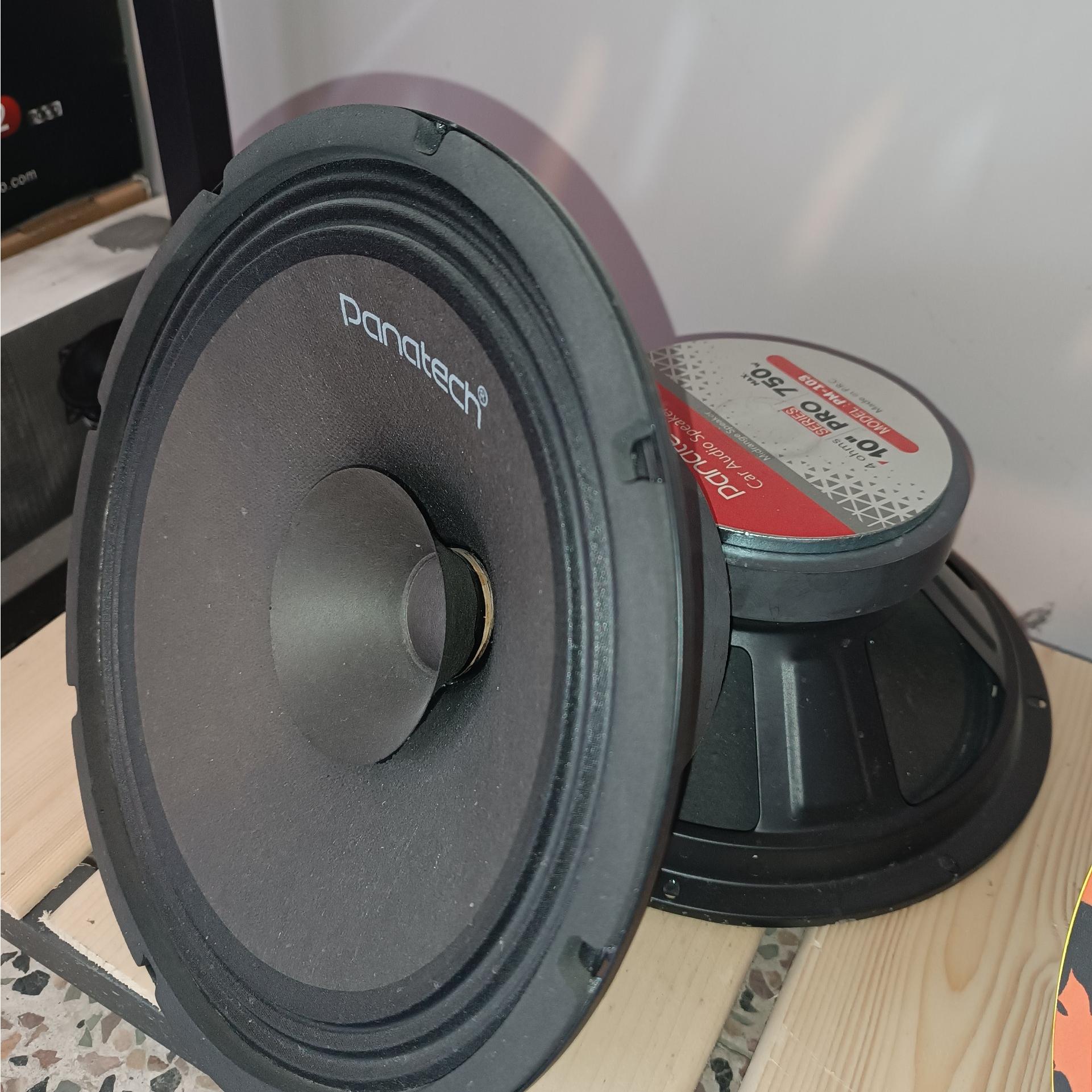 میدرنج 10 اینچ پاناتک 750 وات